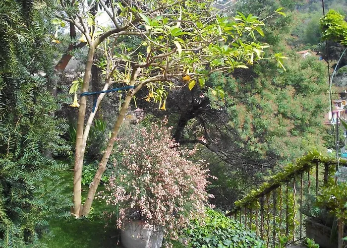 L'annexe Apartament *